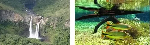 Chapada dos Veadeiros em Goiás e Bonito MS